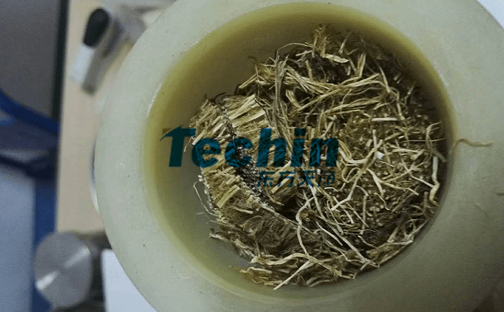 水稻根麻豆黄色电影前