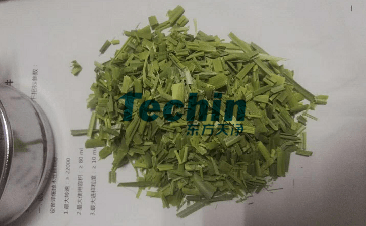 水稻叶子麻豆黄色电影前