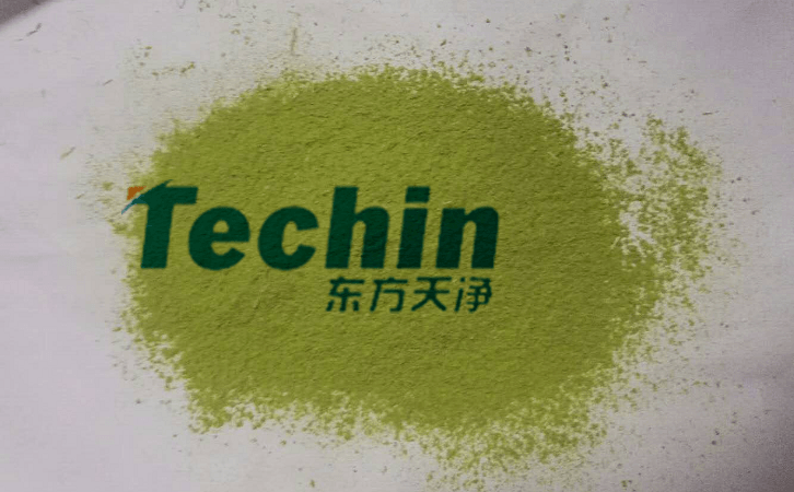 麻豆黄色电影后的植物叶片