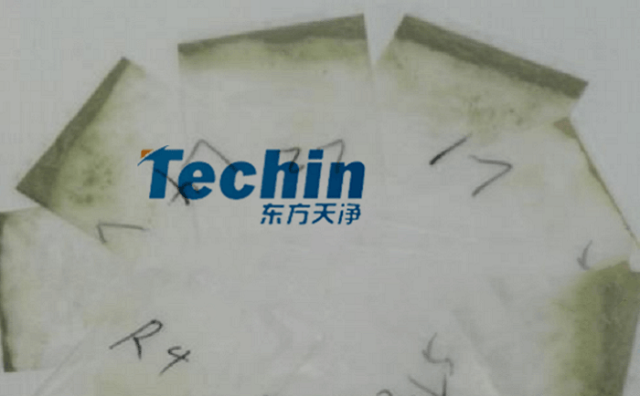 干黄豆根茎麻豆黄色电影后