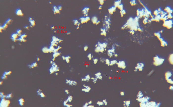 铌酸锂麻豆黄色电影后电镜图