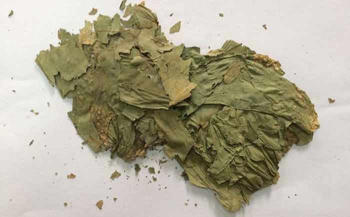 棉花叶麻豆黄色电影